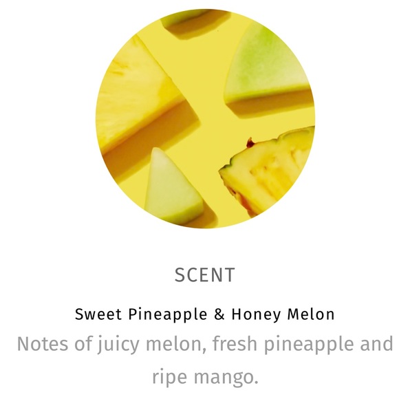 Hempz Pineapple & Melon Herbal Moisturizer - Picture 10 of 10